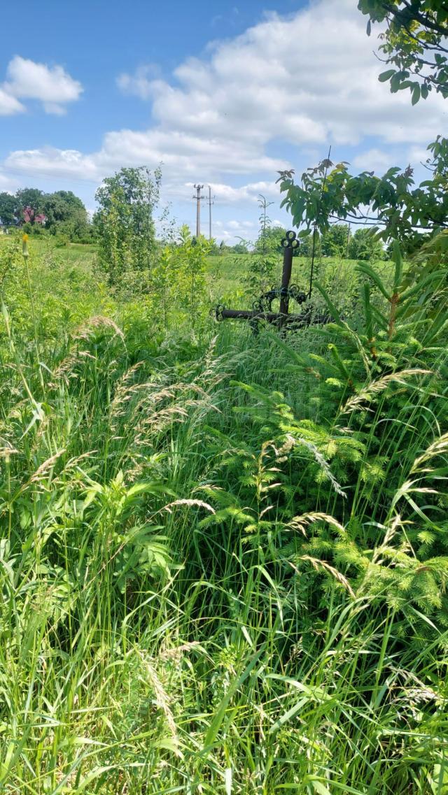 Cimitirul copiilor orfani din Siret