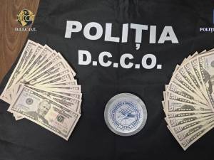 Percheziții la Vatra Dornei, la persoane suspecte că puneau pe piață dolari falsificați