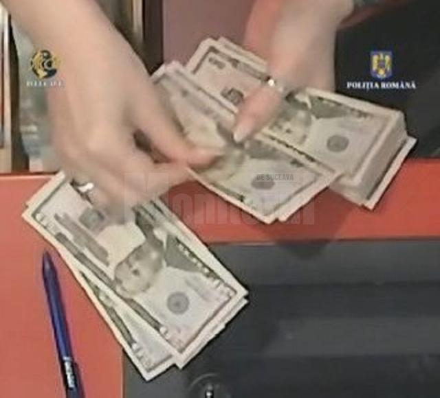 Percheziții la Vatra Dornei, la persoane suspecte că puneau pe piață dolari falsificați