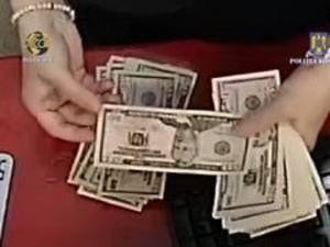 Percheziții la Vatra Dornei, la persoane suspecte că puneau pe piață dolari falsificați
