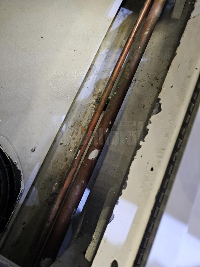 Trei hipermarketuri din Suceava au avut câteva ore activitatea sistată de către inspectorii veterinari