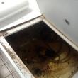 Trei hipermarketuri din Suceava au avut câteva ore activitatea sistată de către inspectorii veterinari