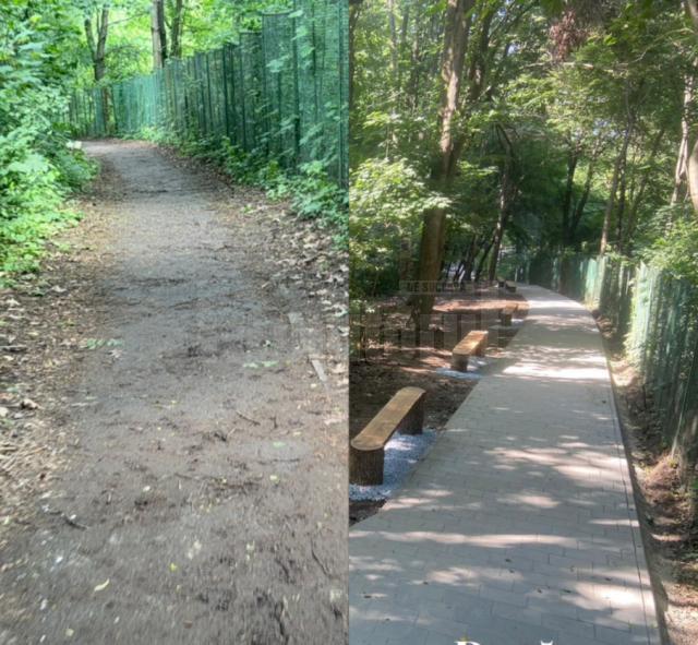 Aleea de acces  dintre Cetatea de Scaun și statuia lui Ștefan cel Mare, refăcută complet 2