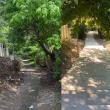 Accesul spre Cetate dinspre zona Mirăuți a fost refăcut