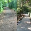 Accesul spre Cetate dinspre zona Mirăuți a fost refăcut