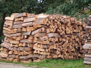 Majorarea TVA-ului la lemnul de foc, un risc uriaș pentru 3,5 milioane de gospodării