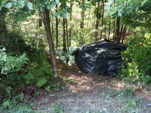 Țigări în valoare de peste 1,7 milioane de lei, ascunse de contrabandiști în pădure și descoperite de polițiștii de frontieră