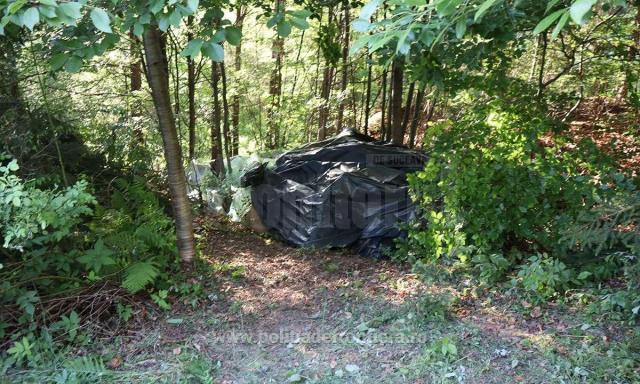 Țigări în valoare de peste 1,7 milioane de lei, ascunse de contrabandiști în pădure și descoperite de polițiștii de frontieră