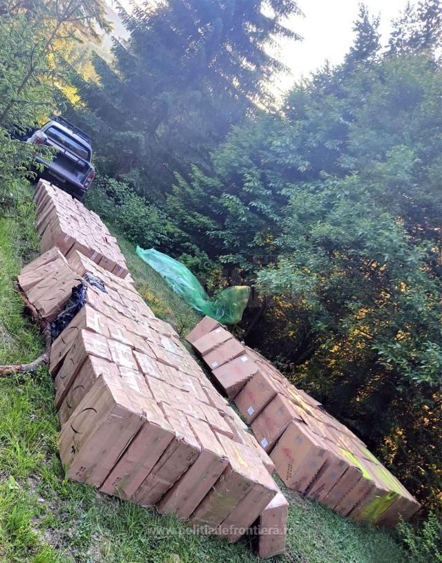 Țigări în valoare de peste 1,7 milioane de lei, ascunse de contrabandiști în pădure și descoperite de polițiștii de frontieră