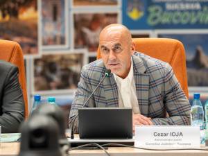 Delegație de investitori germani, în vizită în județul Suceava