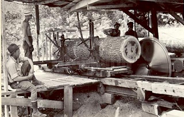 Presa veche 24 iunie GATER (2)