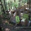 Țigări în valoare de peste 1,7 milioane de lei, ascunse de contrabandiști în pădure și descoperite de polițiștii de frontieră