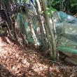 Țigări în valoare de peste 1,7 milioane de lei, ascunse de contrabandiști în pădure și descoperite de polițiștii de frontieră