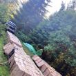 Țigări în valoare de peste 1,7 milioane de lei, ascunse de contrabandiști în pădure și descoperite de polițiștii de frontieră