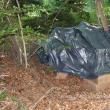 Țigări în valoare de peste 1,7 milioane de lei, ascunse de contrabandiști în pădure și descoperite de polițiștii de frontieră