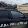 Amenzi de 940.500 de lei și confiscări de 765. ...
