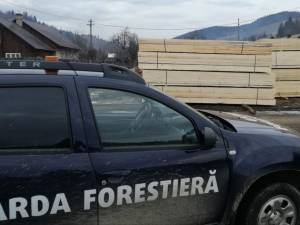 Amenzi de 940.500 lei și confiscări de 765.700 lei făcute de Garda Forestieră Suceava în primele cinci luni din 2025