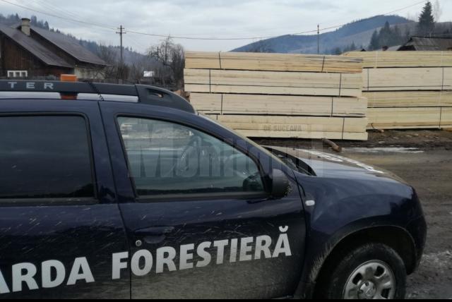 Amenzi de 940.500 lei și confiscări de 765.700 lei făcute de Garda Forestieră Suceava în primele cinci luni din 2025