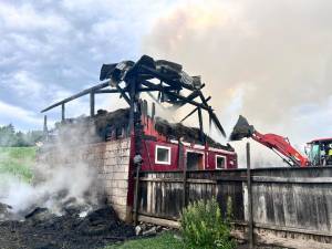 Incendiu la Bălăceana