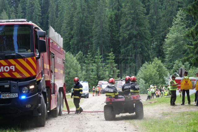 Un incendiu de vegetație forestieră s-a extins cu repeziciune din cauza vântului puternic