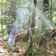 Un incendiu de vegetație forestieră s-a extins cu repeziciune din cauza vântului puternic