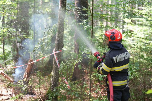 Un incendiu de vegetație forestieră s-a extins cu repeziciune din cauza vântului puternic