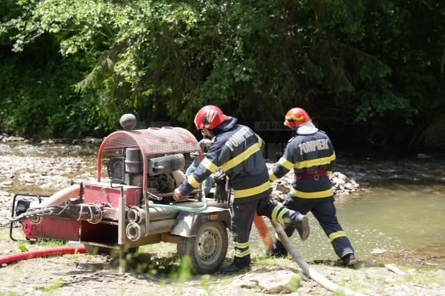 Un incendiu de vegetație forestieră s-a extins cu repeziciune din cauza vântului puternic