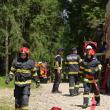 Un incendiu de vegetație forestieră s-a extins cu repeziciune din cauza vântului puternic