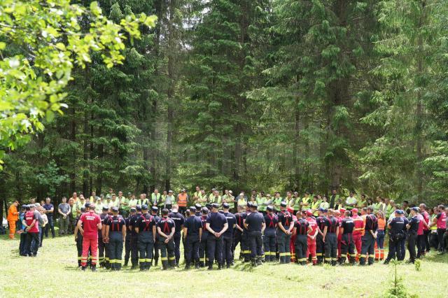 Un incendiu de vegetație forestieră s-a extins cu repeziciune din cauza vântului puternic