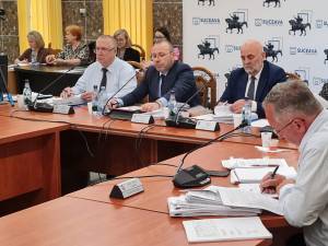 Primăria Suceava înlocuiește cu monitorizarea video paznicii la 10 obiective care îi aparțin