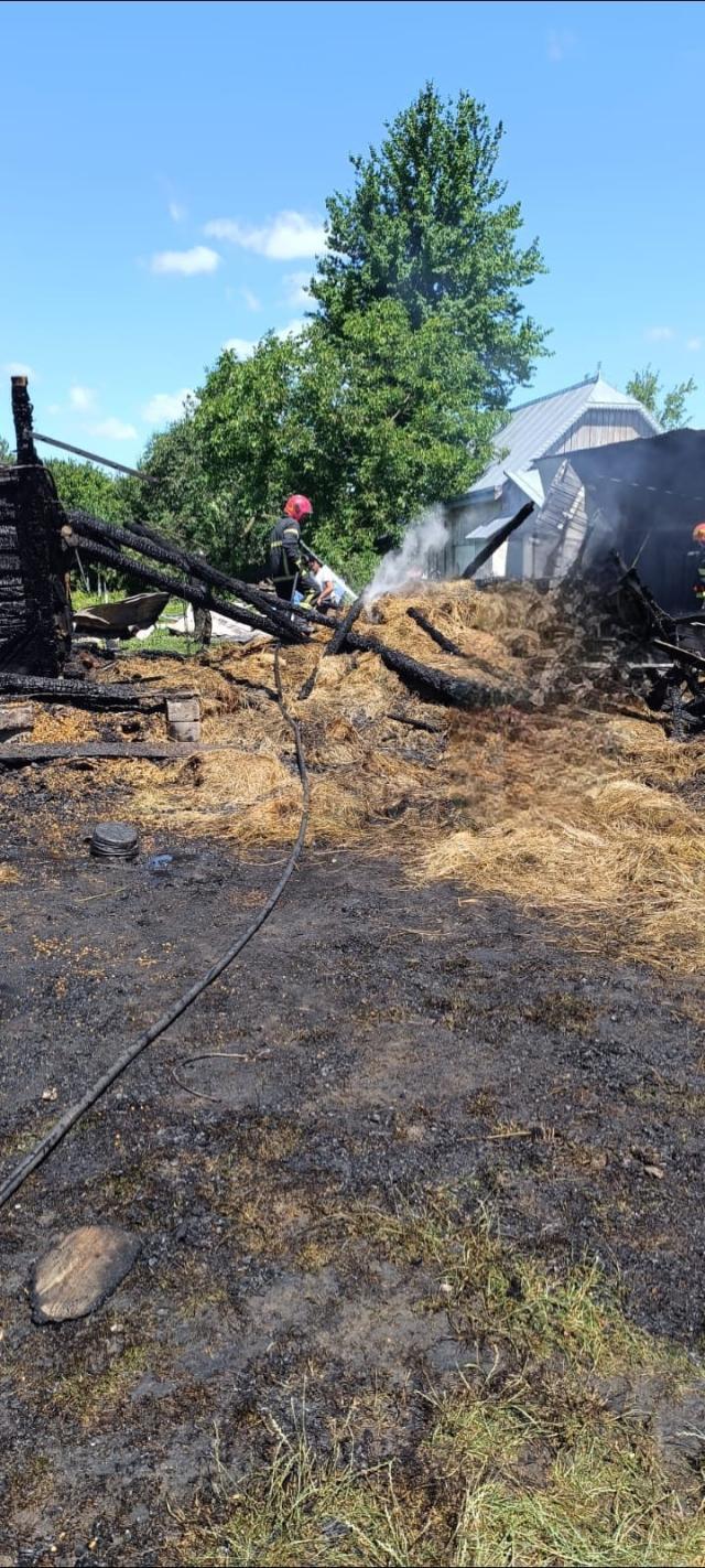 Un incendiu uriaș a mistuit o casă, anexe și mai multe animale