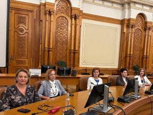 Întâlnire la Comisia Juridică pentru înăsprirea pedepselor faţă de agresorii femeilor