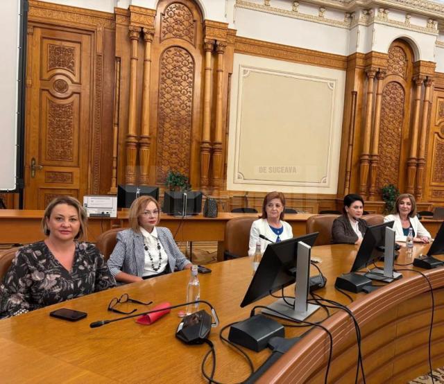 Întâlnire la Comisia Juridică pentru înăsprirea pedepselor faţă de agresorii femeilor