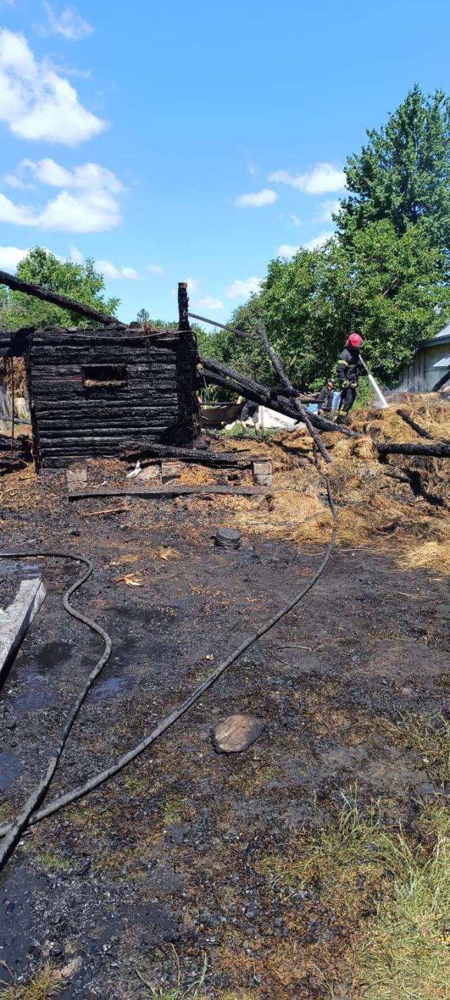 Un incendiu uriaș a mistuit o casă, anexe și mai multe animale