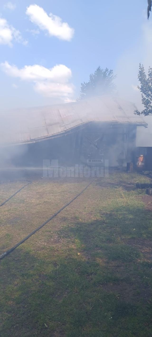 Un incendiu uriaș a mistuit o casă, anexe și mai multe animale