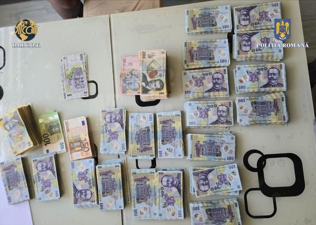 Descinderi DIICOT la Suceava, într-un dosar privind afaceri la nivel înalt cu detergenți aduși fraudulos din Ucraina