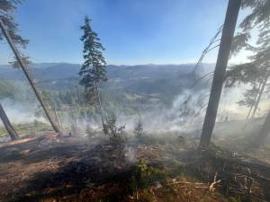 Peste 40 de pompieri militari și silvicultori s-au luptat miercuri până târziu în noapte cu un incendiu în fondul forestier la Sadova