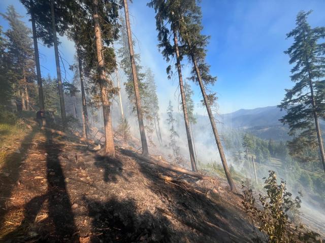 Peste 40 de pompieri militari și silvicultori s-au luptat miercuri până târziu în noapte cu un incendiu în fondul forestier la Sadova