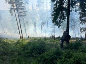 Peste 40 de pompieri militari și silvicultori s-au luptat miercuri până târziu în noapte cu un incendiu în fondul forestier la Sadova
