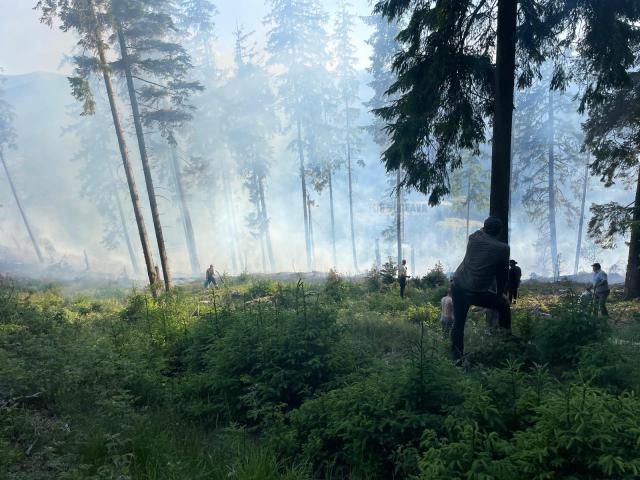 Peste 40 de pompieri militari și silvicultori s-au luptat miercuri până târziu în noapte cu un incendiu în fondul forestier la Sadova