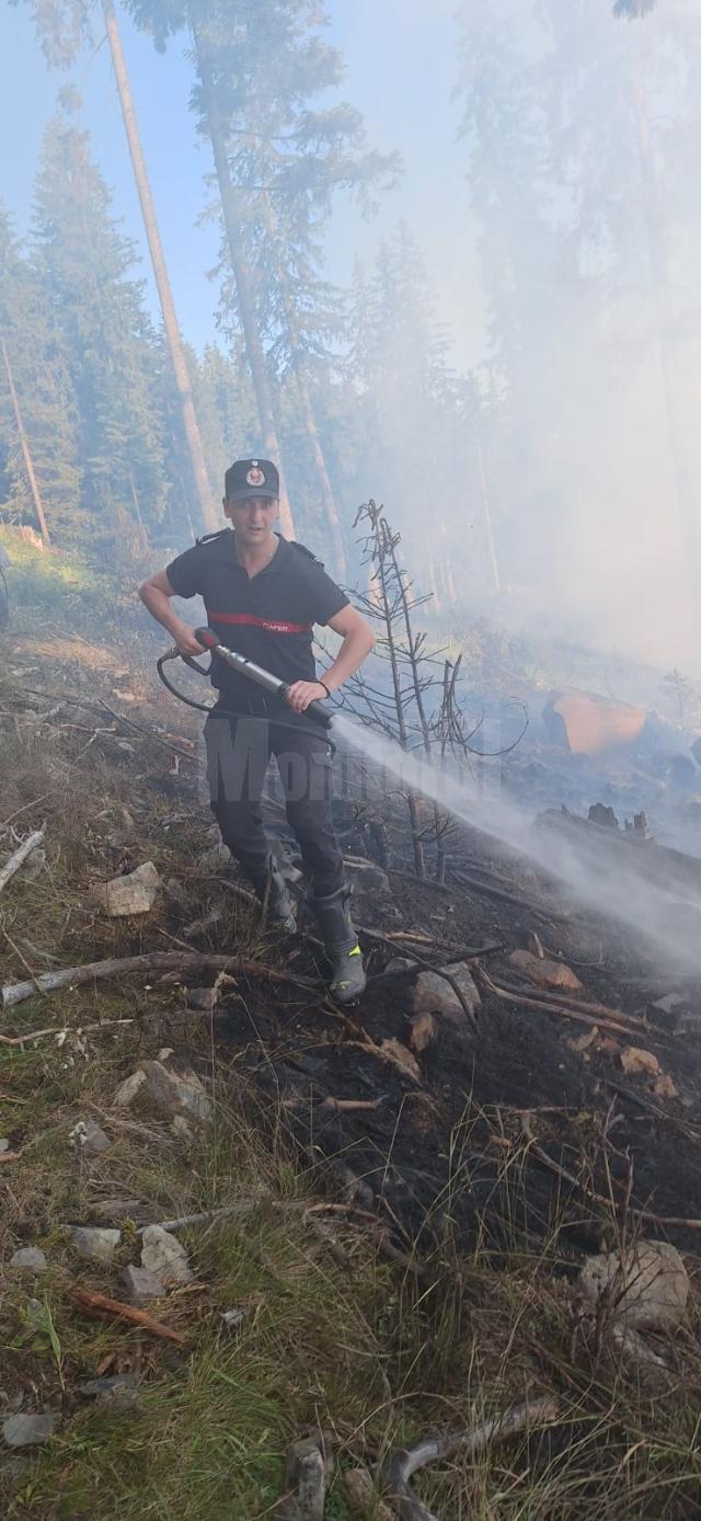 Peste 40 de pompieri militari și silvicultori s-au luptat miercuri până târziu în noapte cu un incendiu în fondul forestier la Sadova