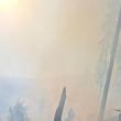 Peste 40 de pompieri militari și silvicultori s-au luptat miercuri până târziu în noapte cu un incendiu în fondul forestier la Sadova