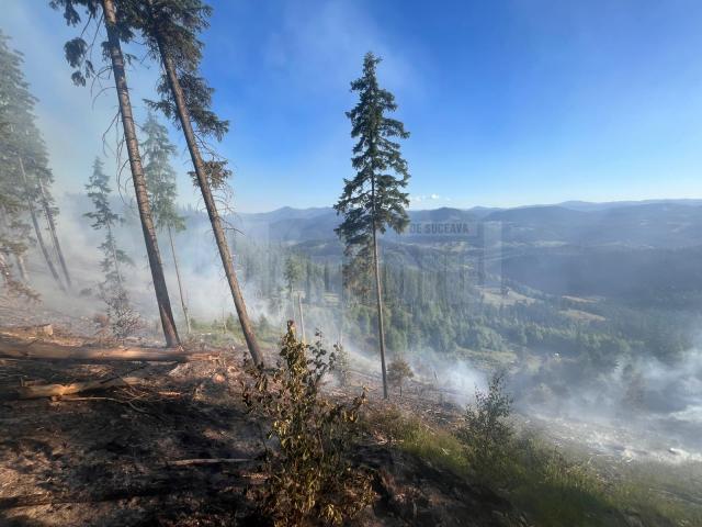 Peste 40 de pompieri militari și silvicultori s-au luptat miercuri până târziu în noapte cu un incendiu în fondul forestier la Sadova