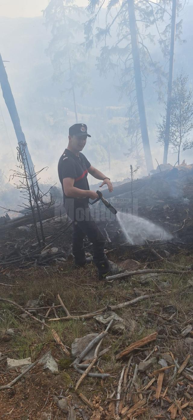 Peste 40 de pompieri militari și silvicultori s-au luptat miercuri până târziu în noapte cu un incendiu în fondul forestier la Sadova
