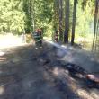 Depozit de lemne, incendiat cu o canistră de motorină, găsită la fața locului