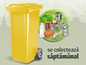 La Fălticeni, taxa de salubrizare se stabilește prin declarație