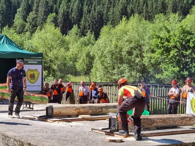 Spectaculoase probe ale concursului „Cel mai bun fasonator”, desfășurat la Ocolul Silvic Moldovița