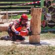 Spectaculoase probe ale concursului „Cel mai bun fasonator”, desfășurat la Ocolul Silvic Moldovița