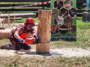 Spectaculoase probe ale concursului „Cel mai bun fasonator”, desfășurat la Ocolul Silvic Moldovița