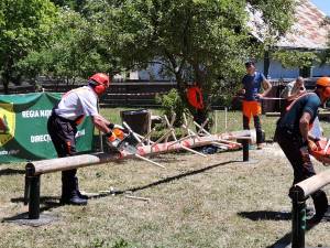 Spectaculoase probe ale concursului „Cel mai bun fasonator”, desfășurat la Ocolul Silvic Moldovița